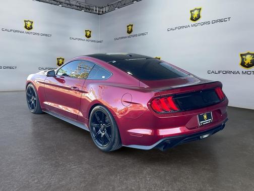 Ruby Red Metallic Tinted Clearcoat 2019 Ford Mustang EcoBoost