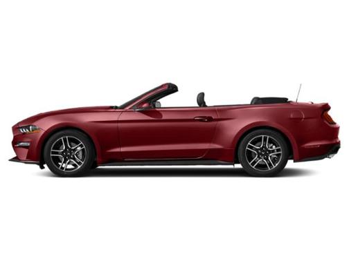 Ruby Red Metallic Tinted Clearcoat 2019 Ford Mustang EcoBoost