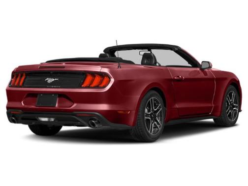 Ruby Red Metallic Tinted Clearcoat 2019 Ford Mustang EcoBoost