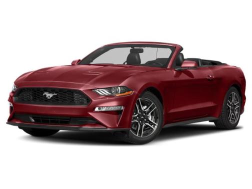 Ruby Red Metallic Tinted Clearcoat 2019 Ford Mustang EcoBoost