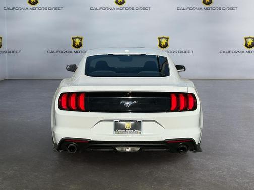 OXFORD WHITE 2019 Ford Mustang EcoBoost