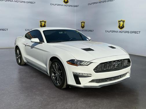 OXFORD WHITE 2019 Ford Mustang EcoBoost