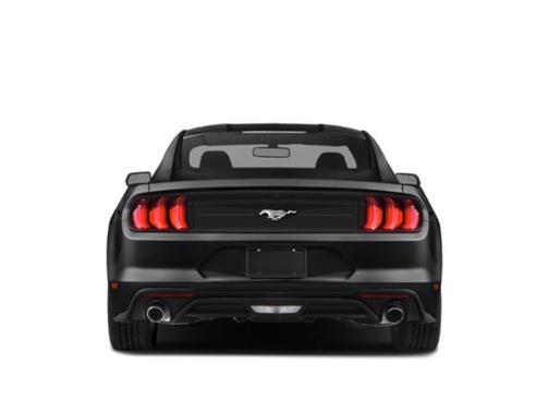OXFORD WHITE 2019 Ford Mustang EcoBoost