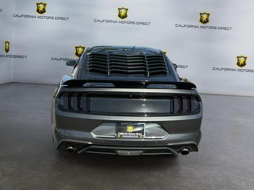 Magnetic 2019 Ford Mustang EcoBoost Premium