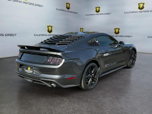 Magnetic 2019 Ford Mustang EcoBoost Premium