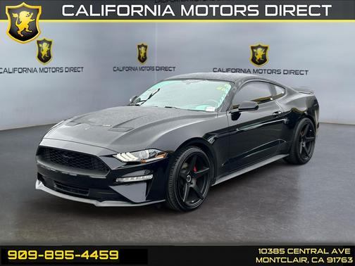SHADOW BLACK 2019 Ford Mustang EcoBoost