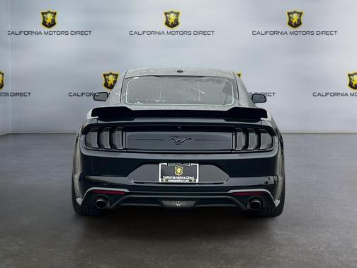 SHADOW BLACK 2019 Ford Mustang EcoBoost