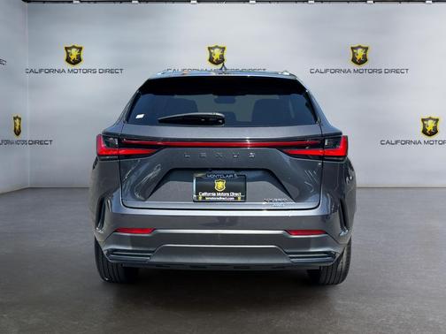 Cloudburst Gray 2024 Lexus NX 350 AWD