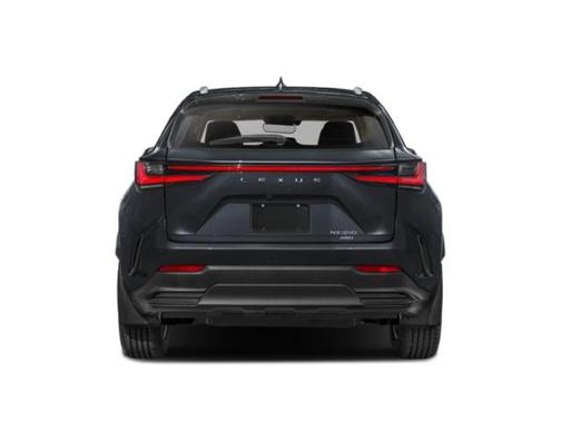 Cloudburst Gray 2024 Lexus NX 350 AWD