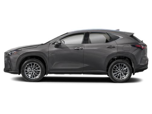 Cloudburst Gray 2024 Lexus NX 350 AWD