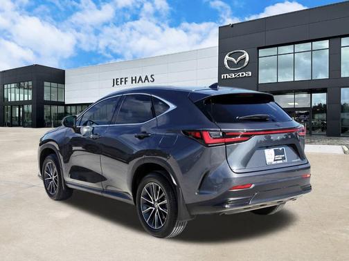 2024 Lexus NX 250 Premium