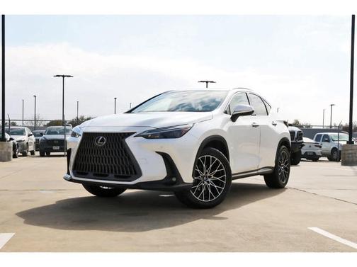 2025 Lexus NX 250 Premium