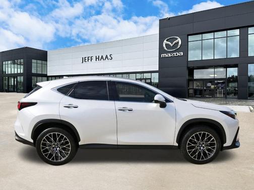 2025 Lexus NX 250 Premium