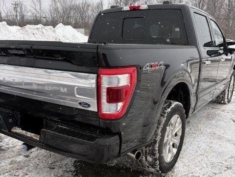 2022 Ford F-150 Platinum