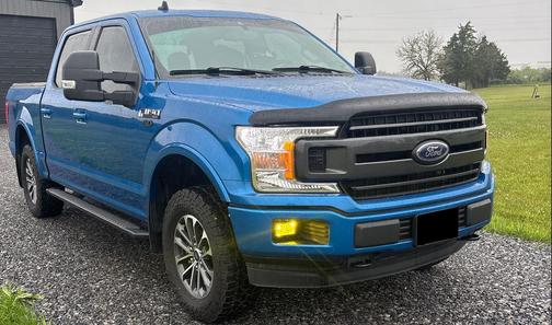 VELOCITY BLUE 2020 Ford F-150 XLT