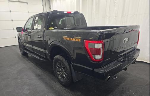 AGATE BLACK METALLIC 2023 Ford F-150 Tremor