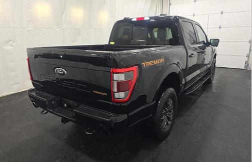 AGATE BLACK METALLIC 2023 Ford F-150 Tremor