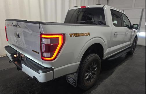 AVALANCHE 2023 Ford F-150 Tremor