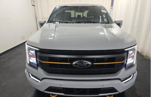 AVALANCHE 2023 Ford F-150 Tremor