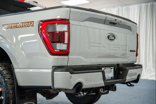 AVALANCHE 2023 Ford F-150 Tremor
