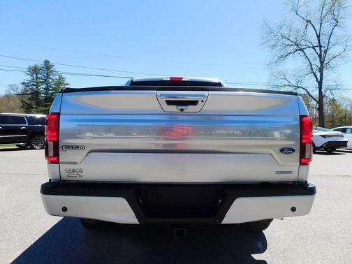 Ingot Silver Metallic 2019 Ford F-150 Platinum