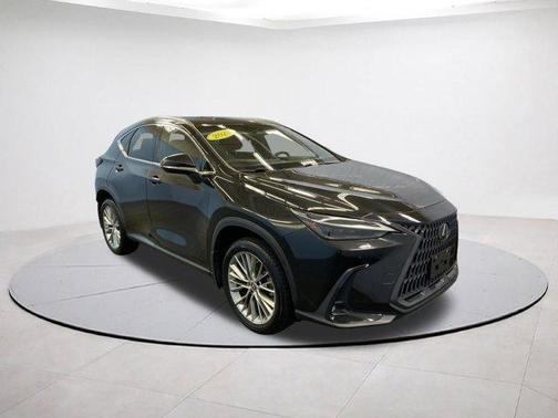 2023 Lexus NX 350 Luxury