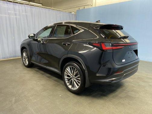 2023 Lexus NX 350 Luxury