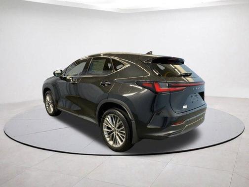 2023 Lexus NX 350 Luxury