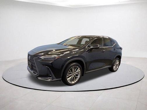 2023 Lexus NX 350 Luxury