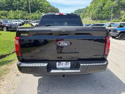 Black Metallic 2025 Ford F-150 STX