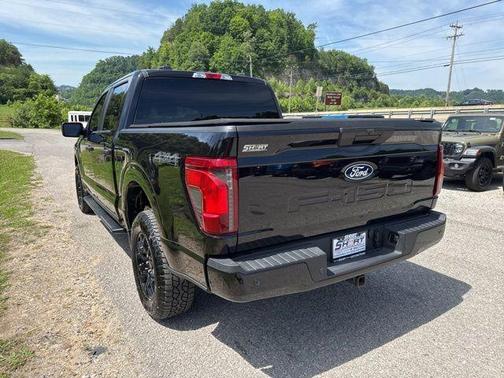 Black Metallic 2025 Ford F-150 STX