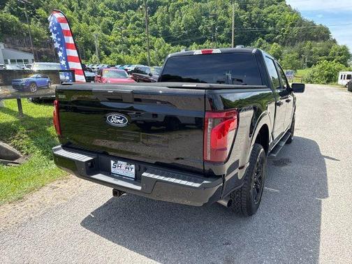 Black Metallic 2025 Ford F-150 STX