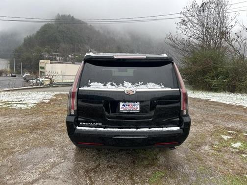 2019 Cadillac Escalade ESV Platinum