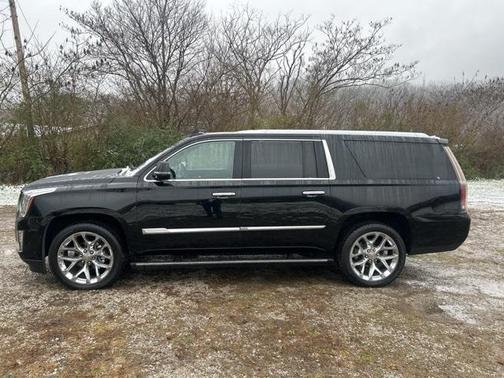 2019 Cadillac Escalade ESV Platinum
