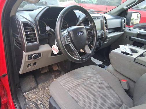 Race Red 2019 Ford F-150 XLT