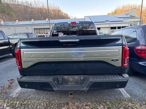 2015 Ford F-150 Platinum