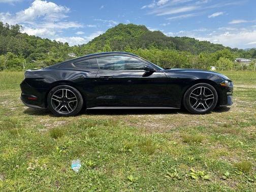 Shadow Black 2019 Ford Mustang EcoBoost