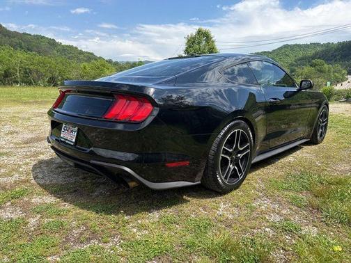 Shadow Black 2019 Ford Mustang EcoBoost