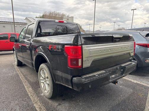 Shadow Black 2018 Ford F-150 Platinum