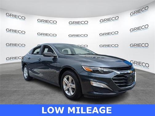 2019 Chevrolet Malibu 1LS