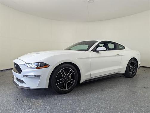 2019 Ford Mustang EcoBoost