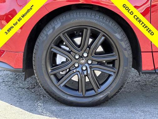 RAPID RED TINTED CC 2024 Ford Edge ST LINE
