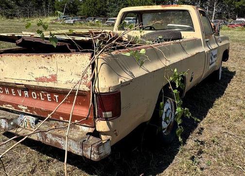 1978 Chevrolet Pickup Truck Base