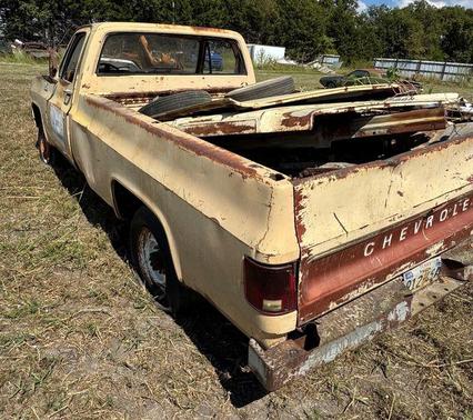 1978 Chevrolet Pickup Truck Base