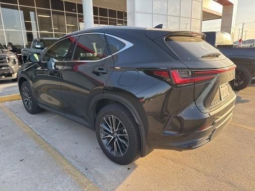 2025 Lexus NX 250 Base