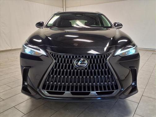 2025 Lexus NX 250 Base