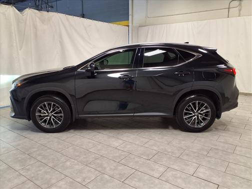 2025 Lexus NX 250 Base