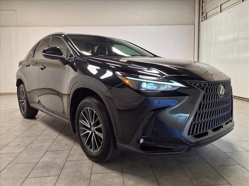 2025 Lexus NX 250 Base