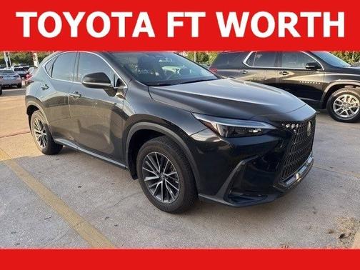 2025 Lexus NX 250 Base