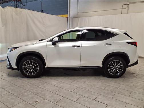 2025 Lexus NX 250 Premium